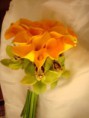 /album/la-riviera/alcatraz-y-orquidea-cimbidium-jpg1/